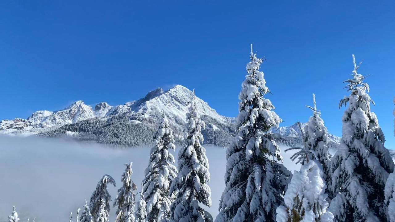 Chalet Kleinbergsonne Filzmoos Zewnętrze zdjęcie